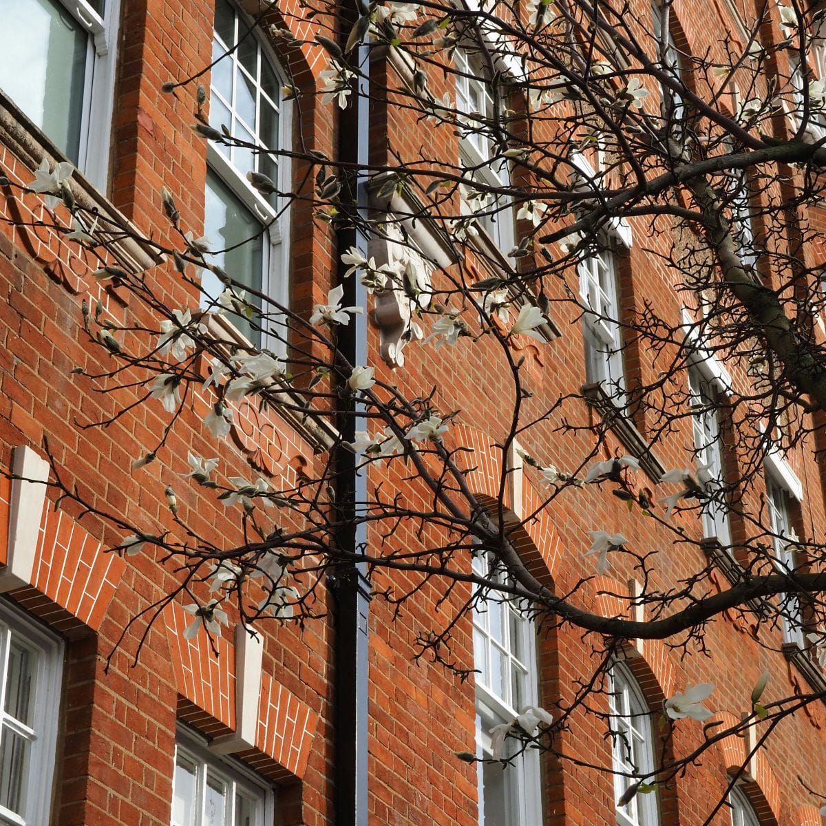 Red brick property built pre-1950, representing traditional architecture supported by professional property management