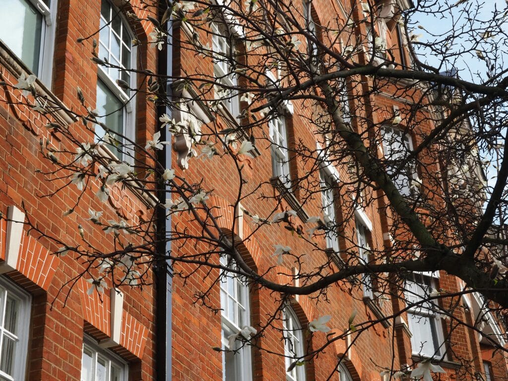 pexels lucascraig 32439592